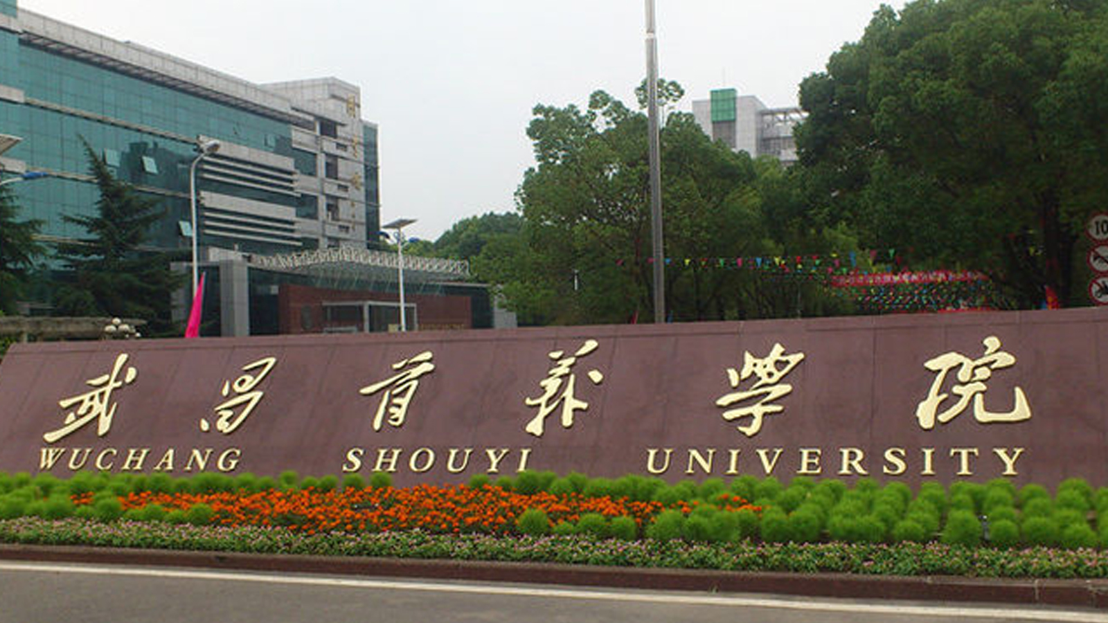 2026年武昌首义学院专升本全攻略：招生专业、考试变化与备考指南